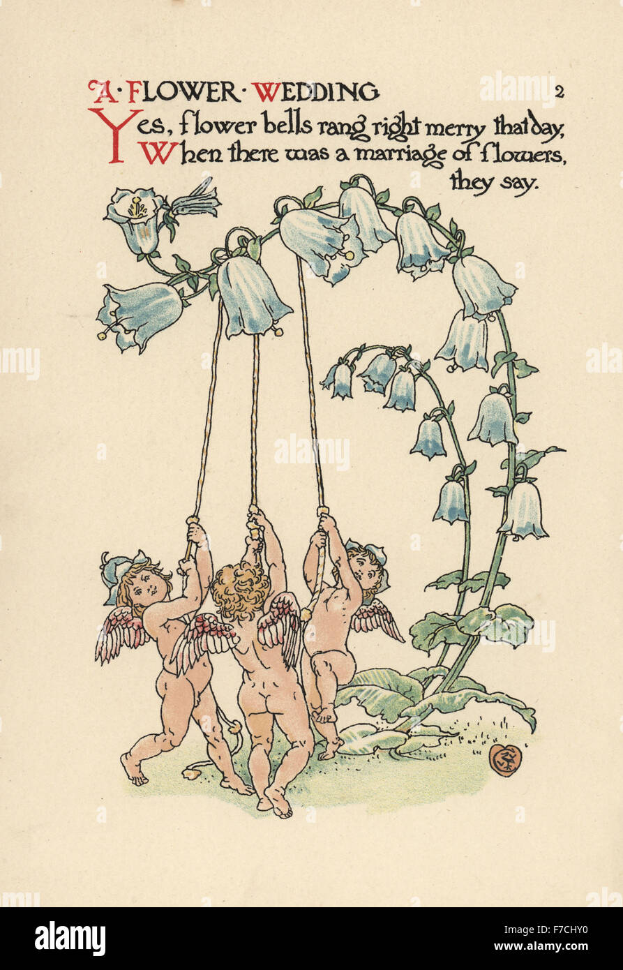 Trois sonnerie cupids campanules, Campanula latifolia. Chromolithographie après une illustration par Walter Crane à partir d'une fleur Mariage, Cassell, Londres, 1905. Banque D'Images