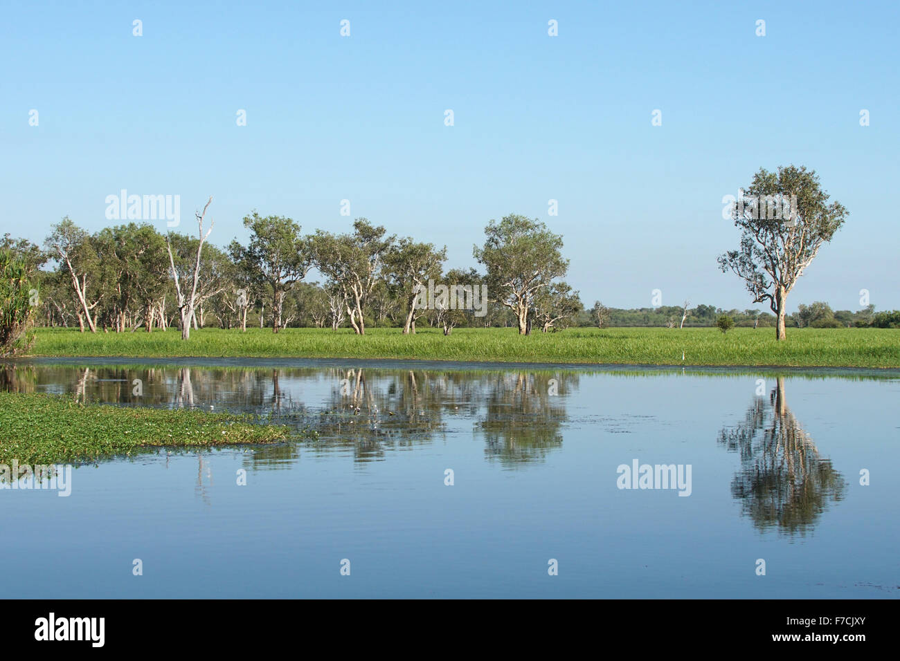 Paysage du Parc National de Kakadu près de l'eau jaune, de l'Australie Banque D'Images