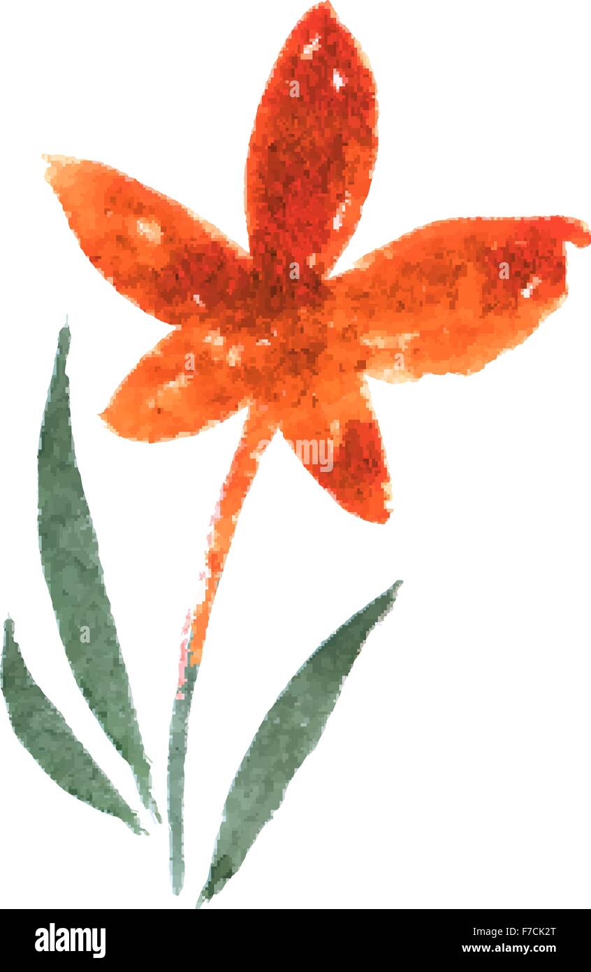 Aquarelle fleurs floral illustration vectorielle. Illustration de Vecteur