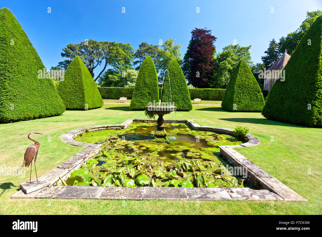 Yew Tree clippé impressionnant topiary pyramides au jardin en contrebas de la grande cour à Athelhampton House, Dorset, England, UK Banque D'Images