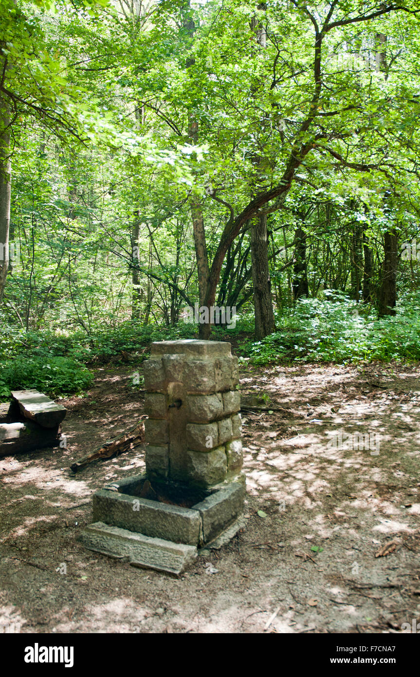 Fontaine rustique de source de pierre dans Vitosha Woods – source d'eau Kamenna Reka Banque D'Images