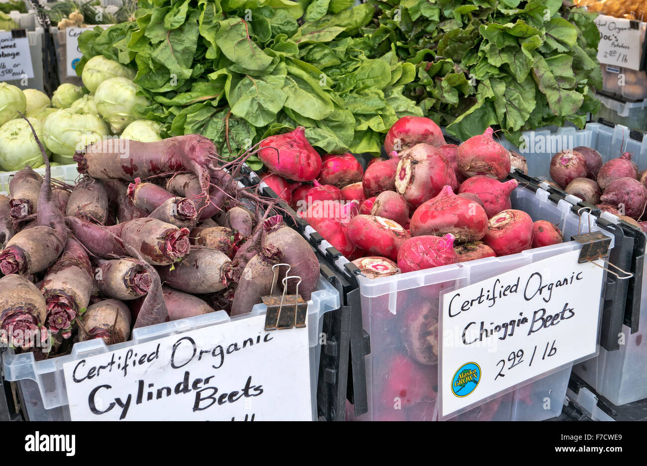 Cylindre organique & Chioggia betterave, marché de producteurs du Sud d'Anchorage. Banque D'Images