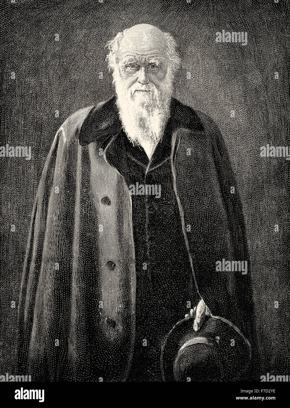 Charles Robert Darwin, 1809 - 1882, un naturaliste britannique, la théorie de l'évolution, Banque D'Images