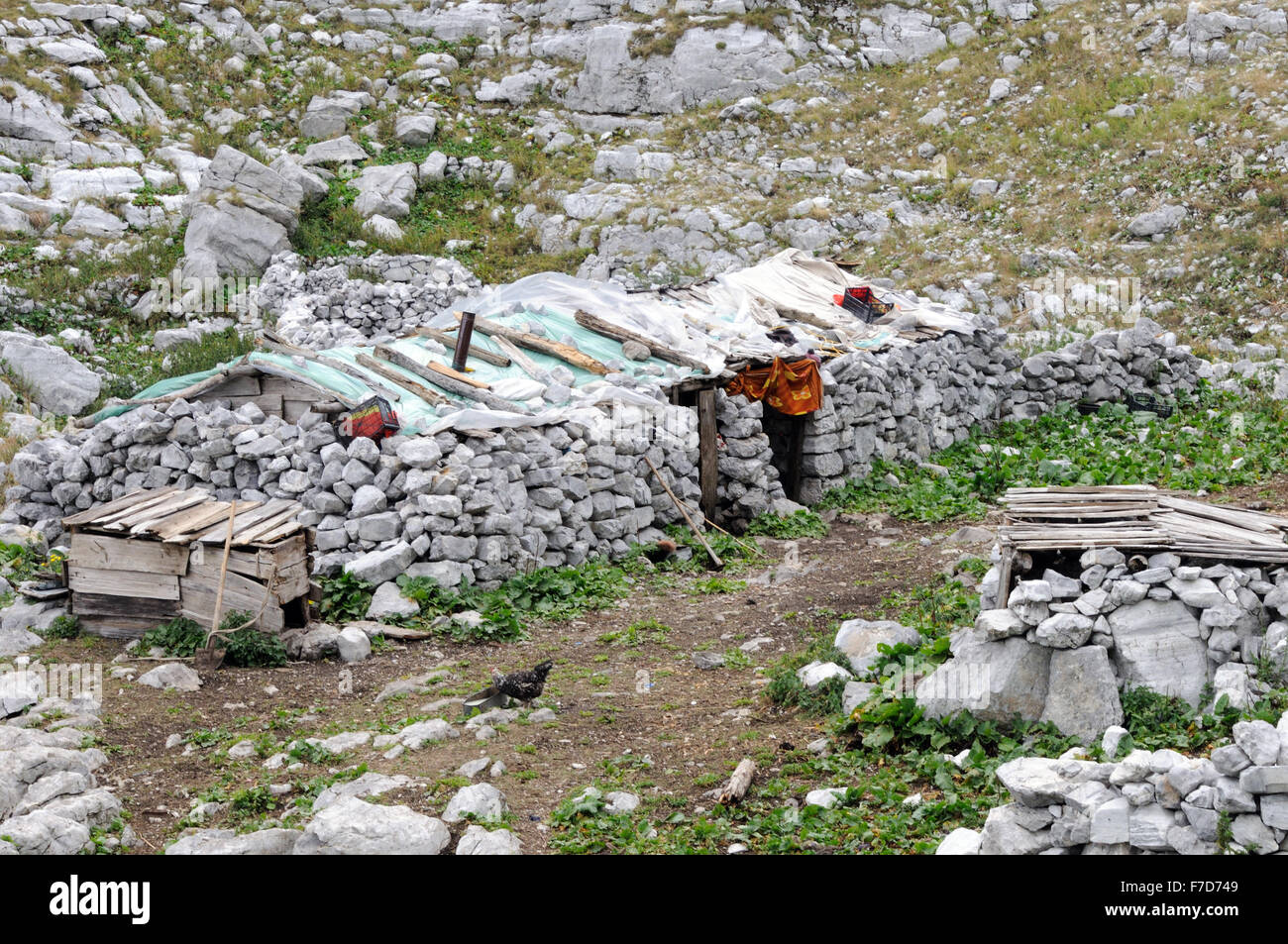 Une cabane en pierre du berger sur les pentes calcaires de la Sainte Montagne Bjeshket e Bekura Valbona, Albanie. Banque D'Images