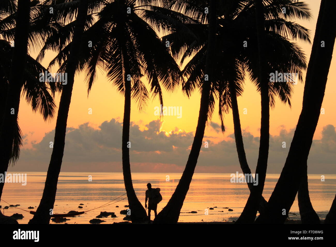 Un local dans la plage au lever du soleil, entouré de cocotiers avec ciel jaune et l'horizon de mer dans les îles Andaman, Havelock island Banque D'Images