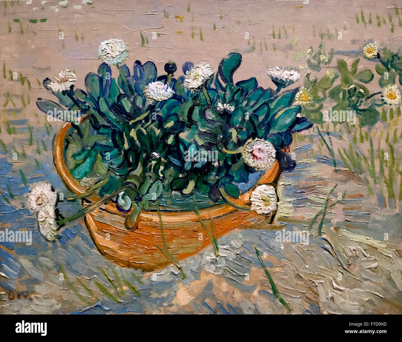 Marguerites, Arles - Vincent Van Gogh, 1888 Banque D'Images