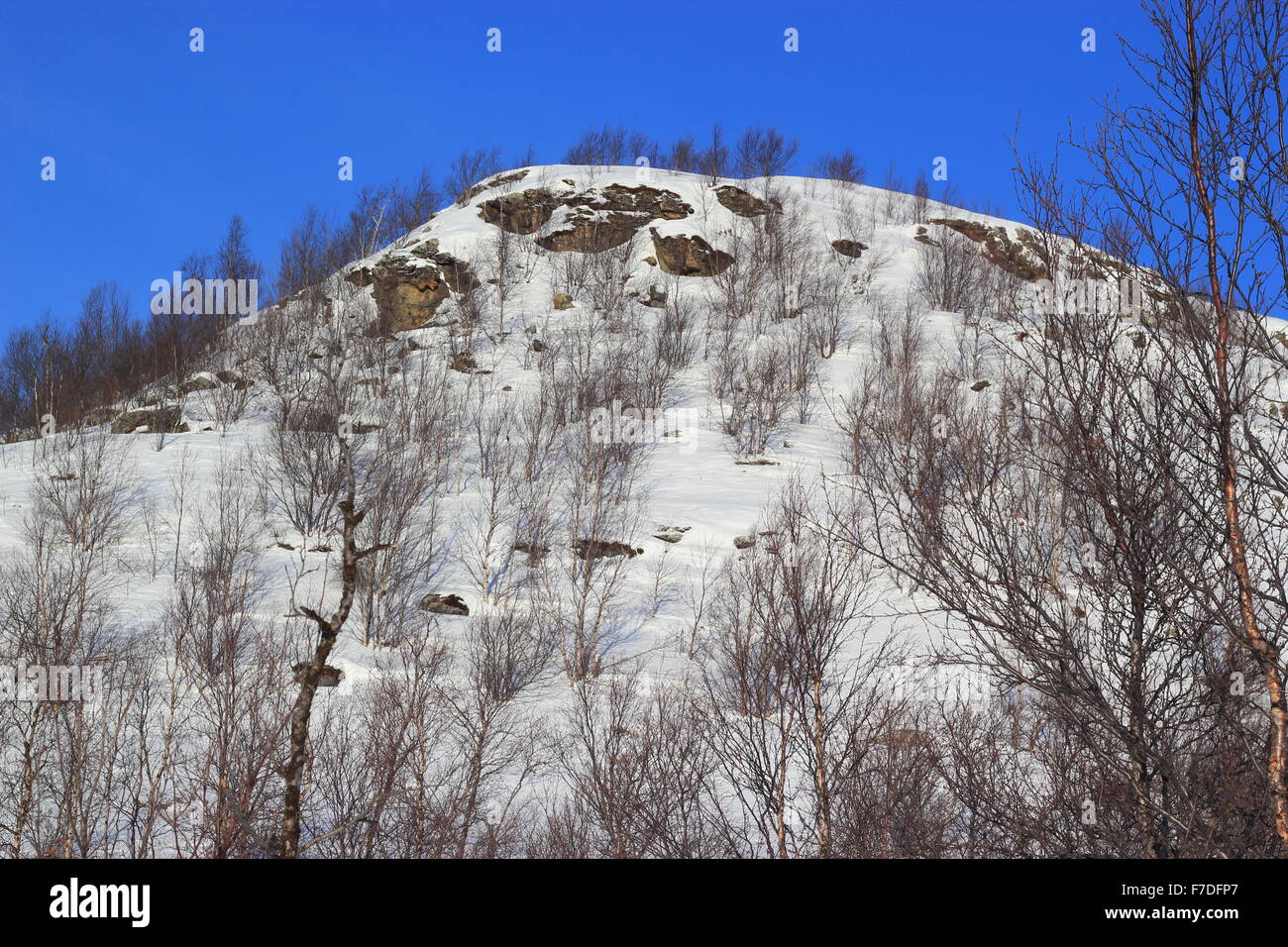 Montagnes couvertes de neige, Dapmotjavri, Norvège, Banque D'Images
