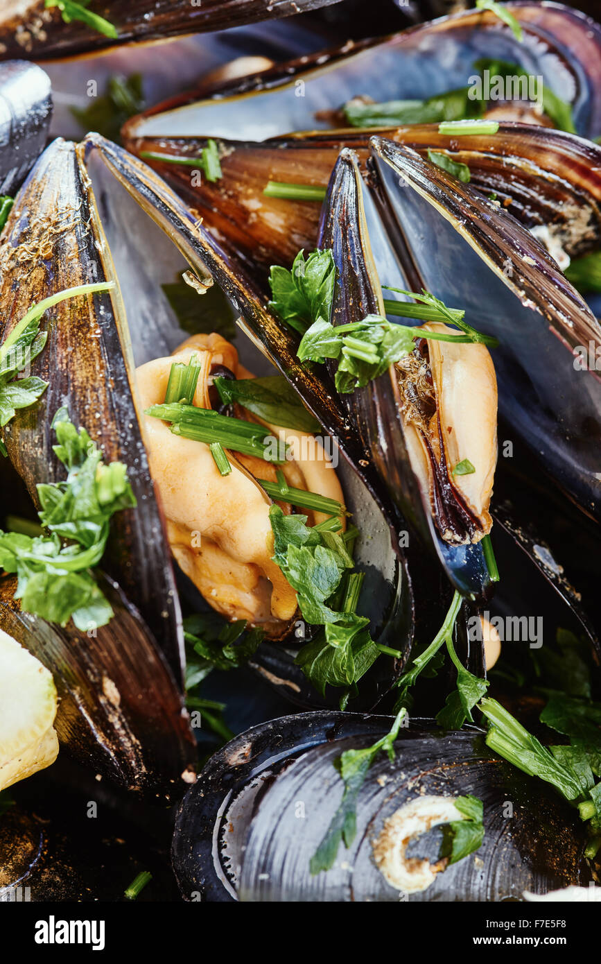 Les moules close up et le persil Banque D'Images