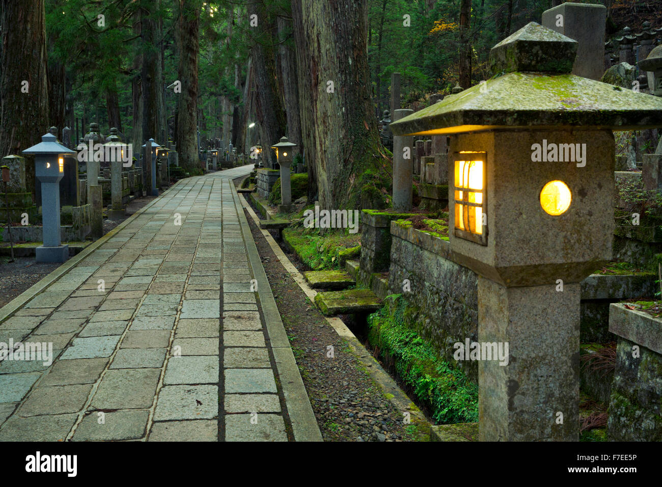 Un chemin à travers l'ancien cimetière Okunoin bouddhiste de Koyasan (高野山), au Japon. Banque D'Images