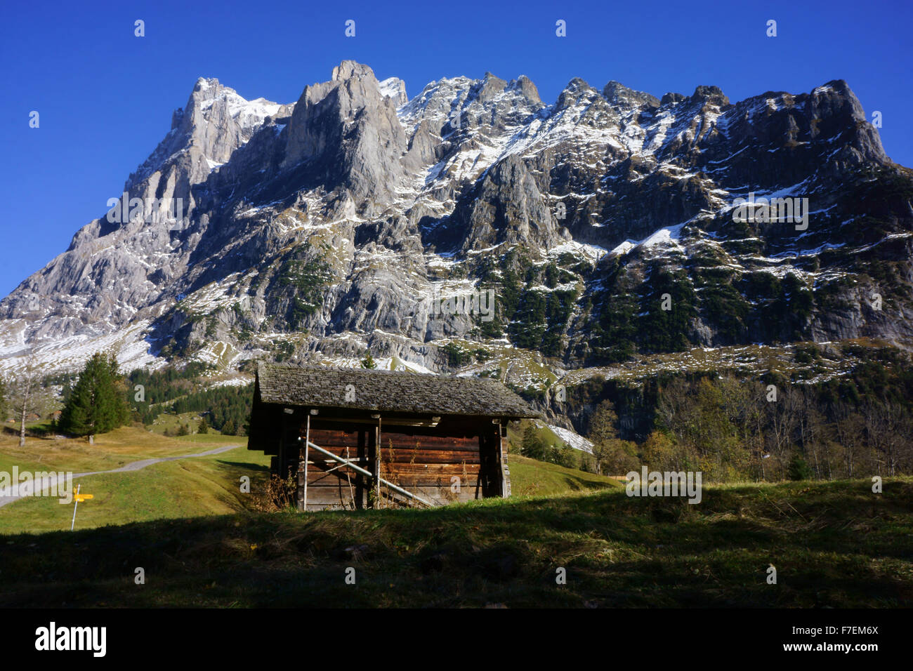 Au-dessous de la Grosse Scheidegg avec Wetterhorn, Grindelwald, Alpes Bernoises, Swiotzerland Banque D'Images