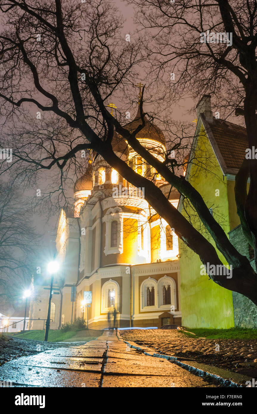 La cathédrale Alexandre Nevsky éclairé par la nuit. Tallinn, Estonie Banque D'Images