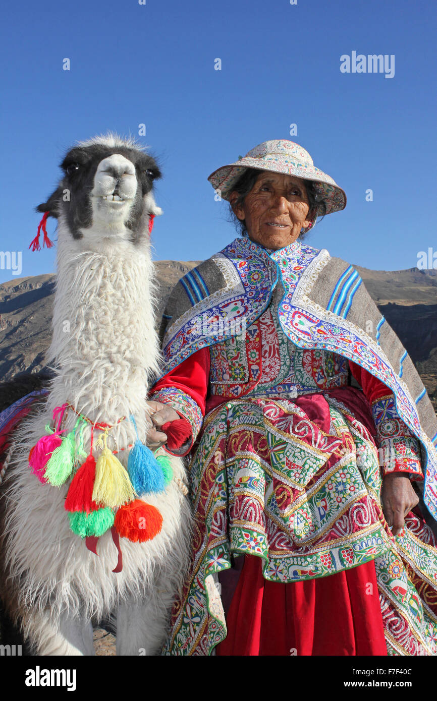 Personnes âgées femme péruvienne avec Llama Banque D'Images