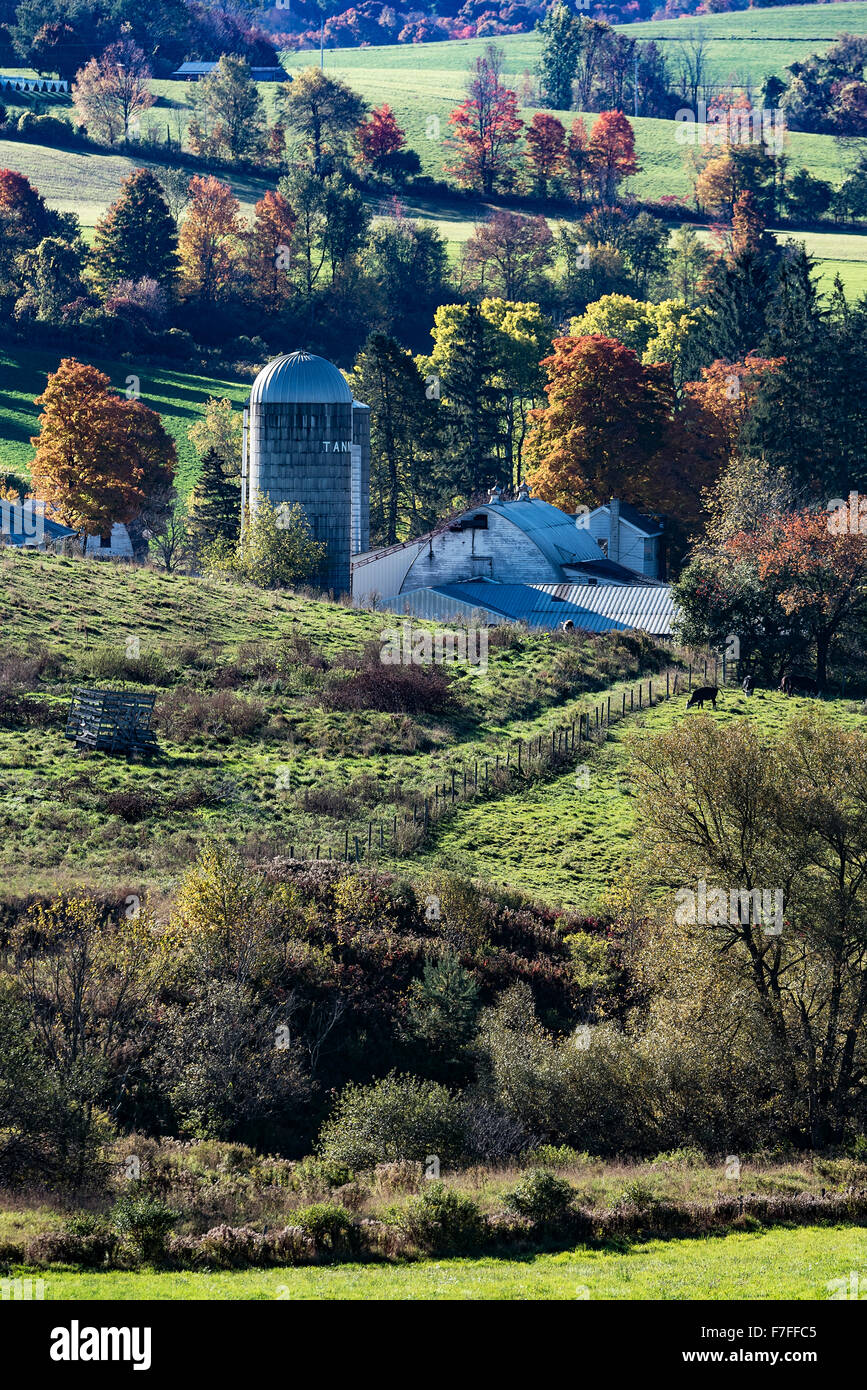 Scenic autumn farm, Madison, New York, USA Banque D'Images