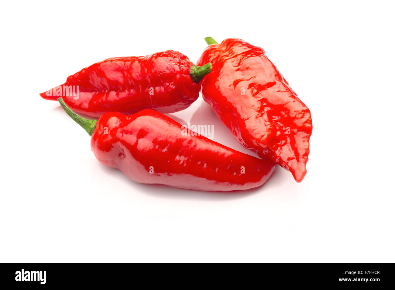 Trois ultra hot chili peppers ghost rouge sur blanc Banque D'Images