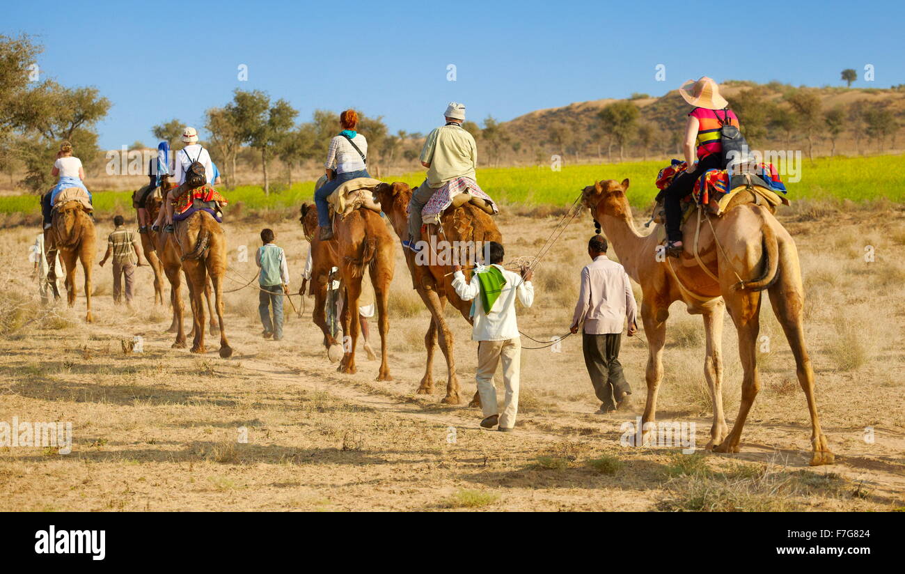 Chameau safari tour avec les touristes dans le désert du Thar près de Jaisalmer, Inde Banque D'Images