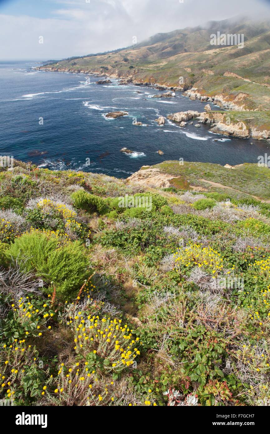 Big Sur, sur la côte centrale de Californie. Banque D'Images