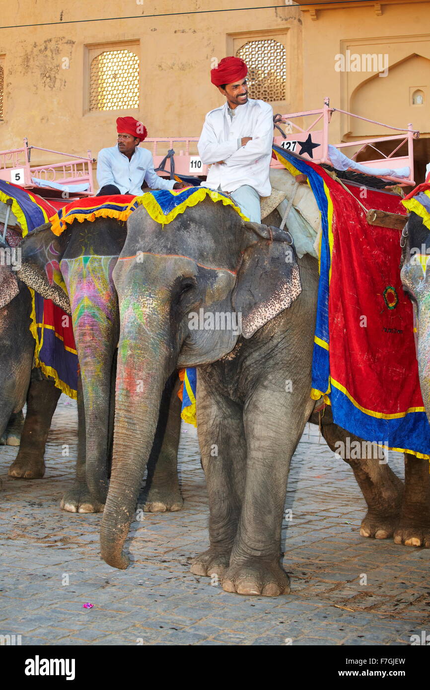 Les éléphants attendent les touristes pour les mener à l'Amber Fort, Amer 11km de Jaipur, Rajasthan, Inde Banque D'Images