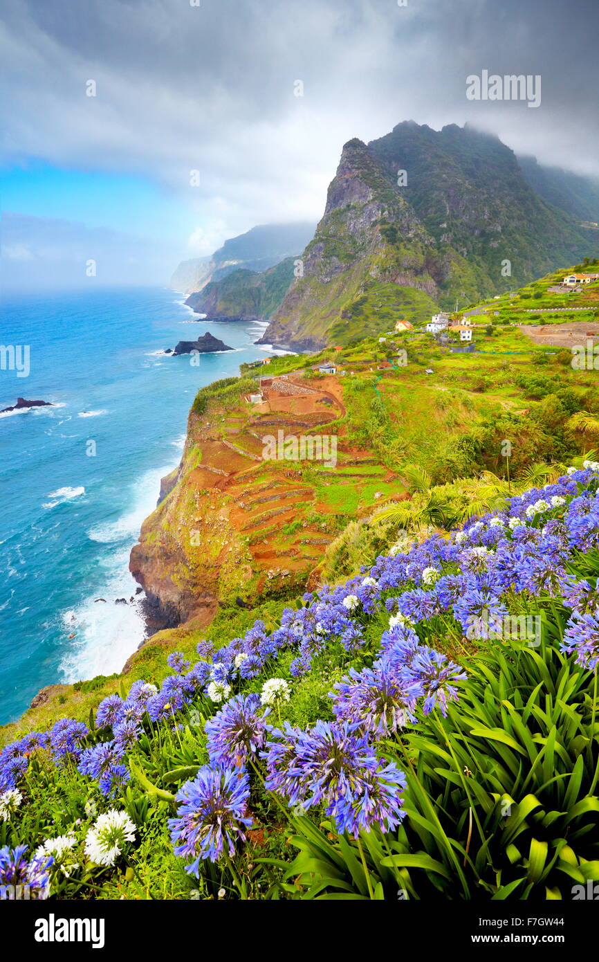 Madère - paysage avec des fleurs près de Ponta Delgada, l'île de Madère, Portugal Banque D'Images