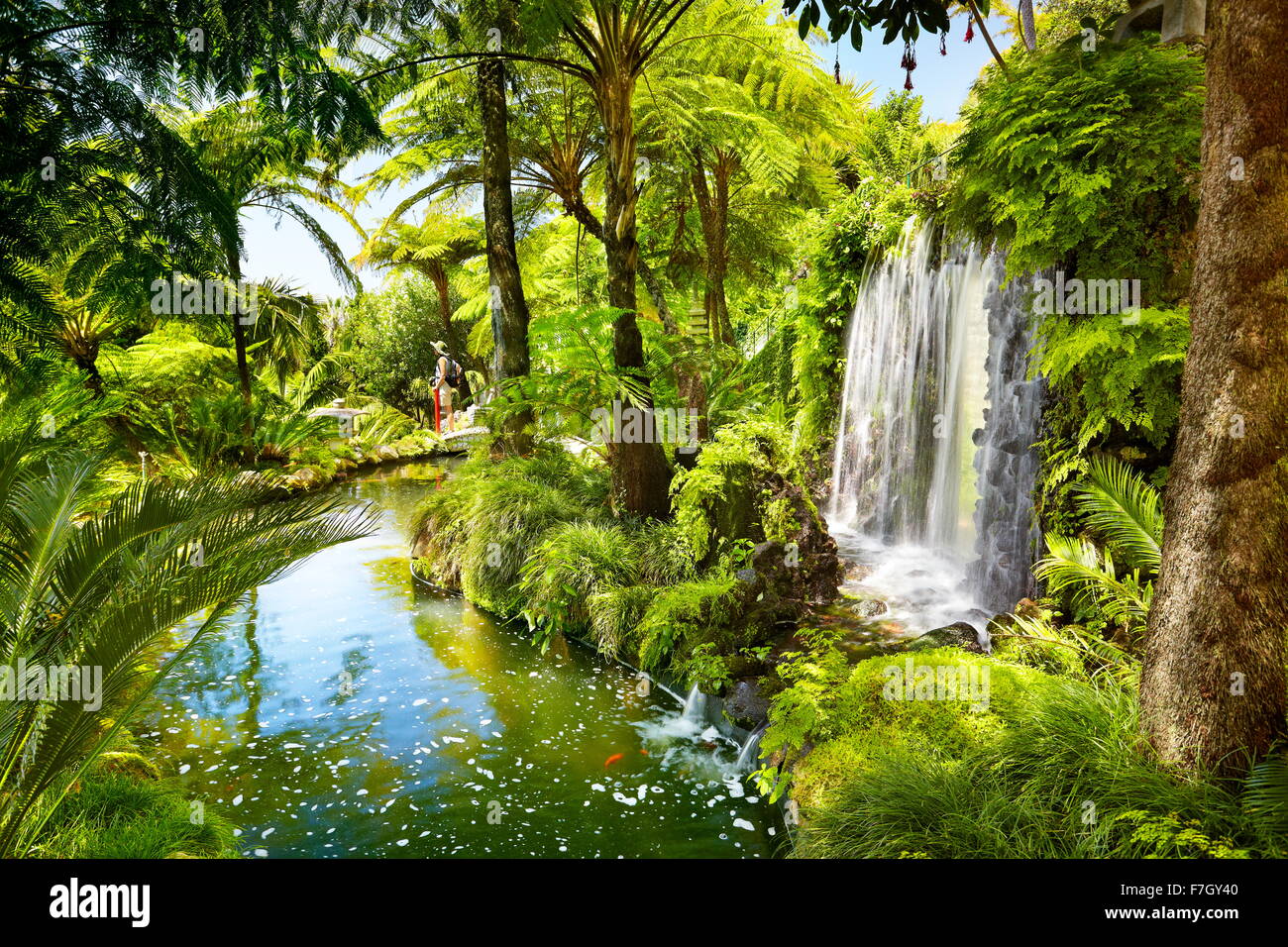 Monte Palace Tropical Garden (jardin japonais) - Funchal, monte, l'île de Madère, Portugal Banque D'Images