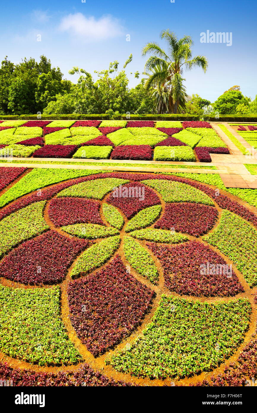 Le Jardin botanique de Madère - Funchal, Madère, Portugal Banque D'Images