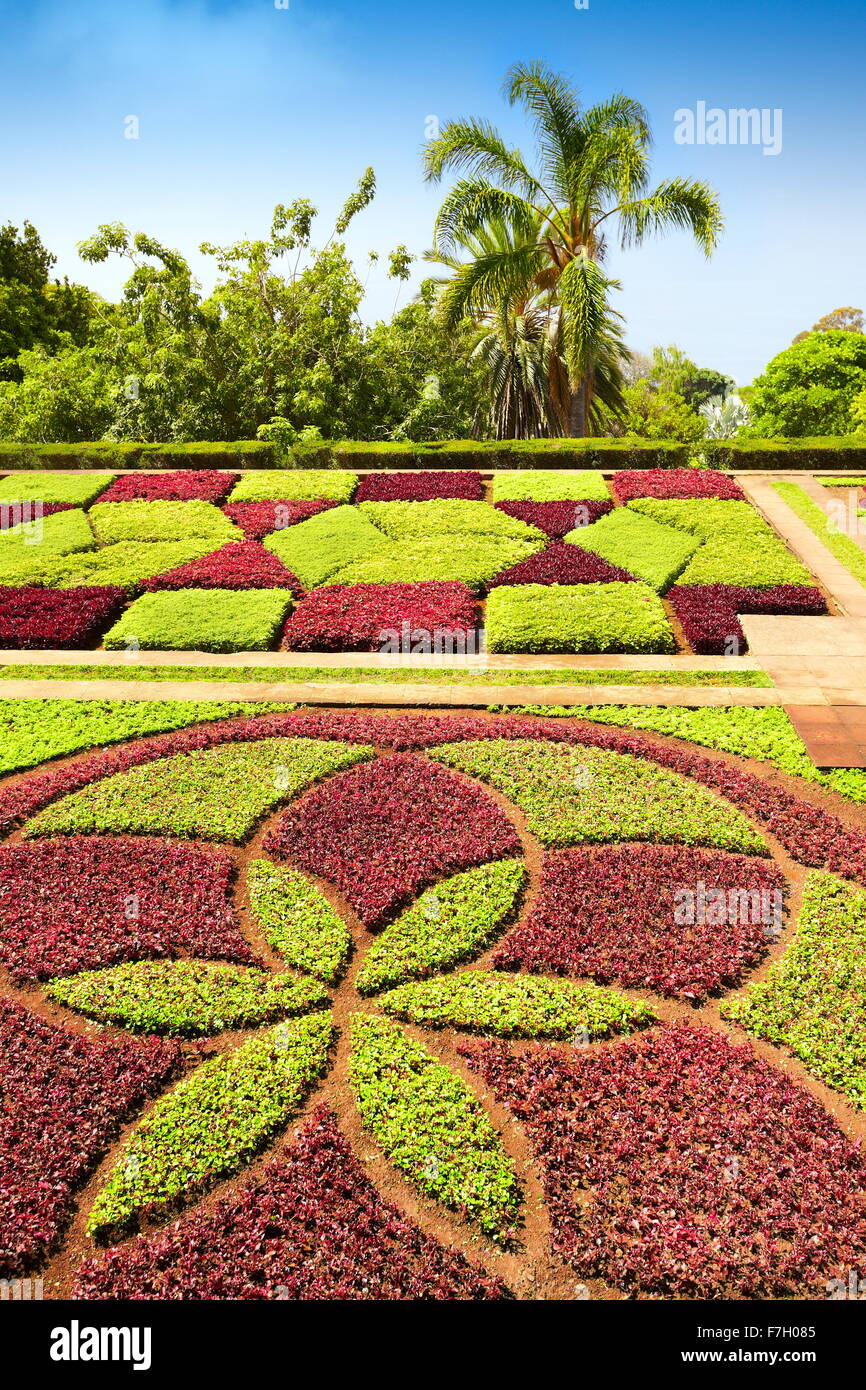 Le Jardin botanique de Madère - Funchal, Madère, Portugal Banque D'Images