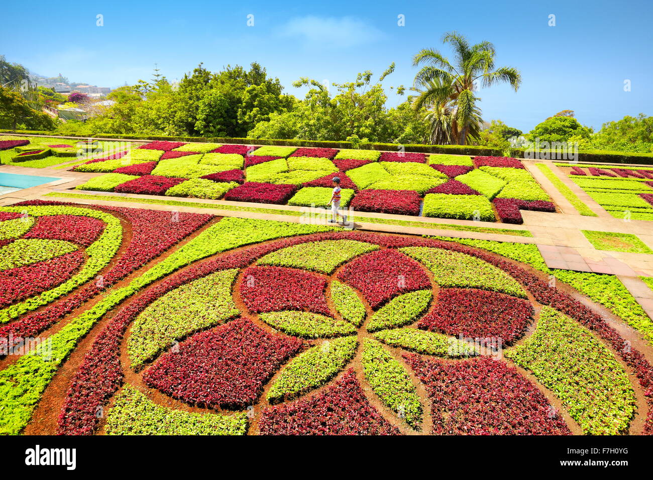 Le Jardin botanique de Madère - Funchal, Madère, Portugal Banque D'Images