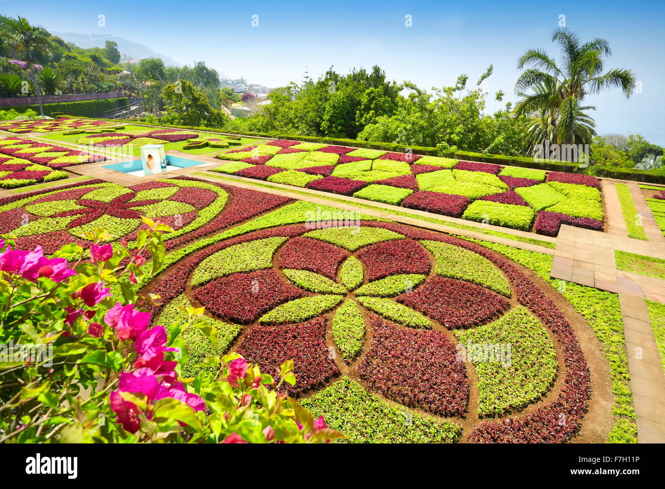Jardin botanique de Madère - Funchal, Madère, Portugal Banque D'Images