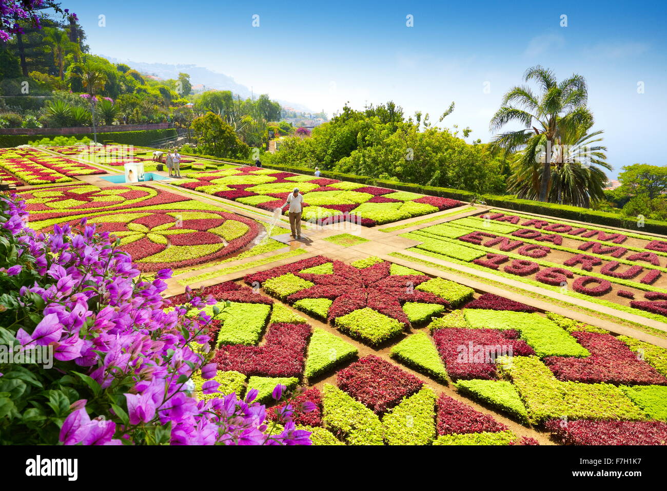 Jardin botanique de Madère - Funchal, Madère, Portugal Banque D'Images