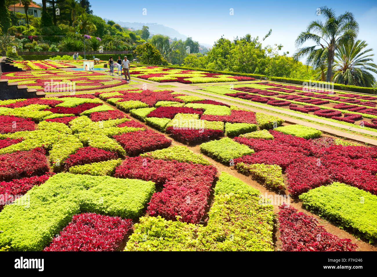 L'île de Madère - Jardin Botanique, Funchal, Portugal Banque D'Images