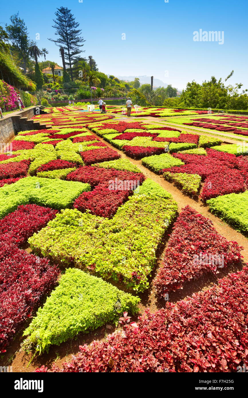 Jardin Botanique - Funchal, Madère, Portugal Banque D'Images