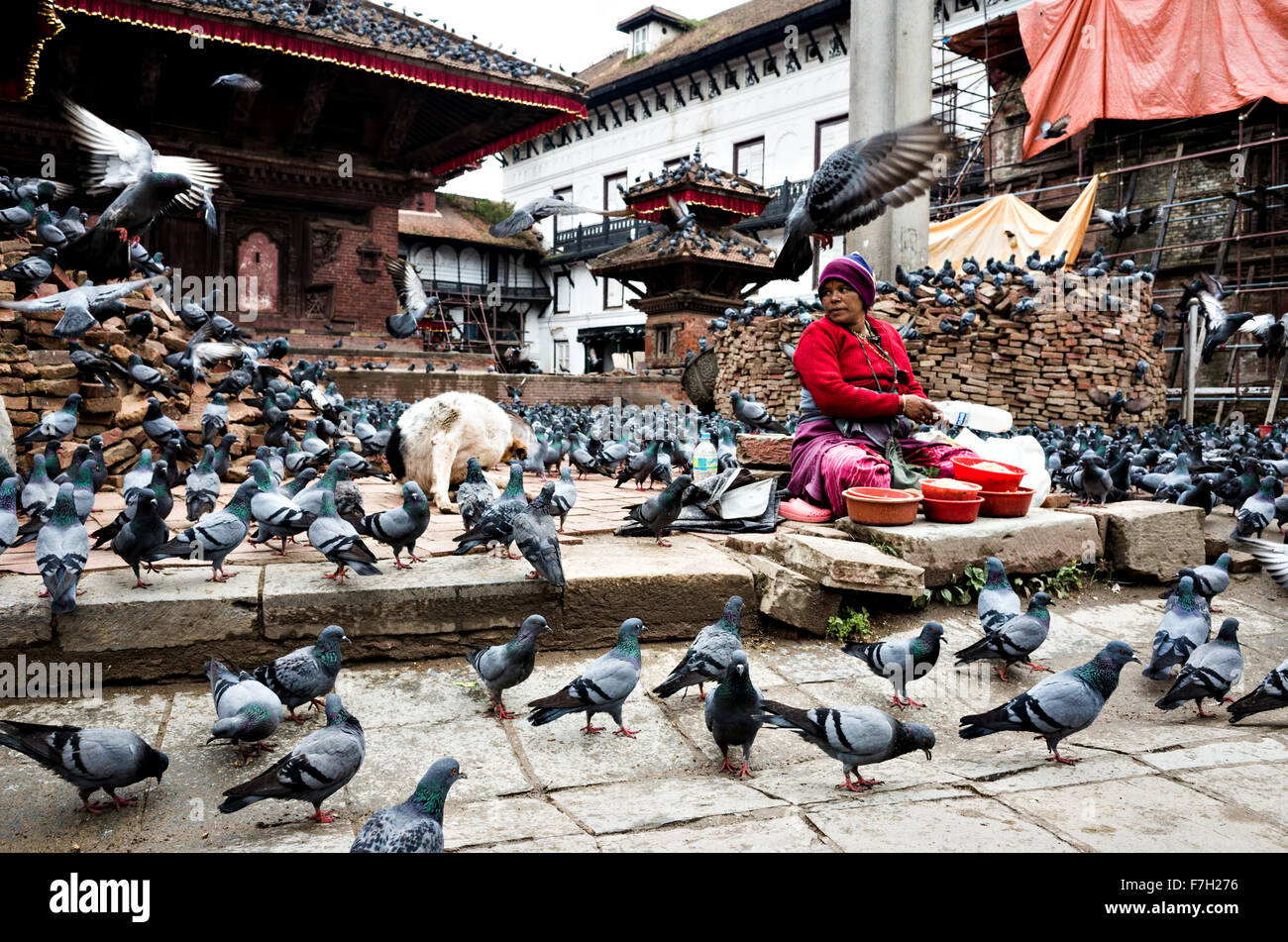 Un grain de maïs vendeuse à Basantapur Durbar Square avec le vol des pigeons, Katmandou, Népal, 2015 Banque D'Images