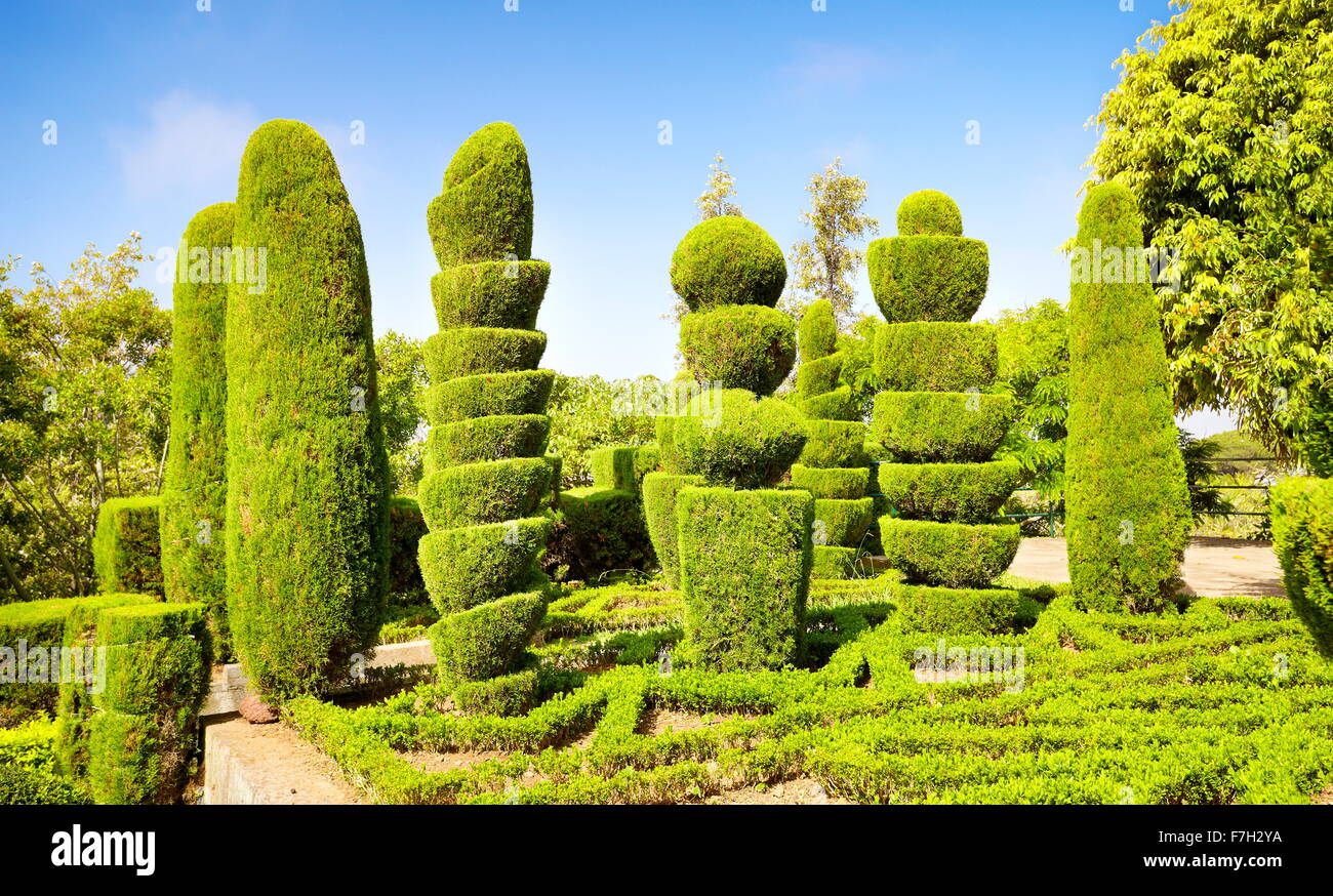 Le Jardin botanique de Madère - Funchal, Madère, Portugal Banque D'Images
