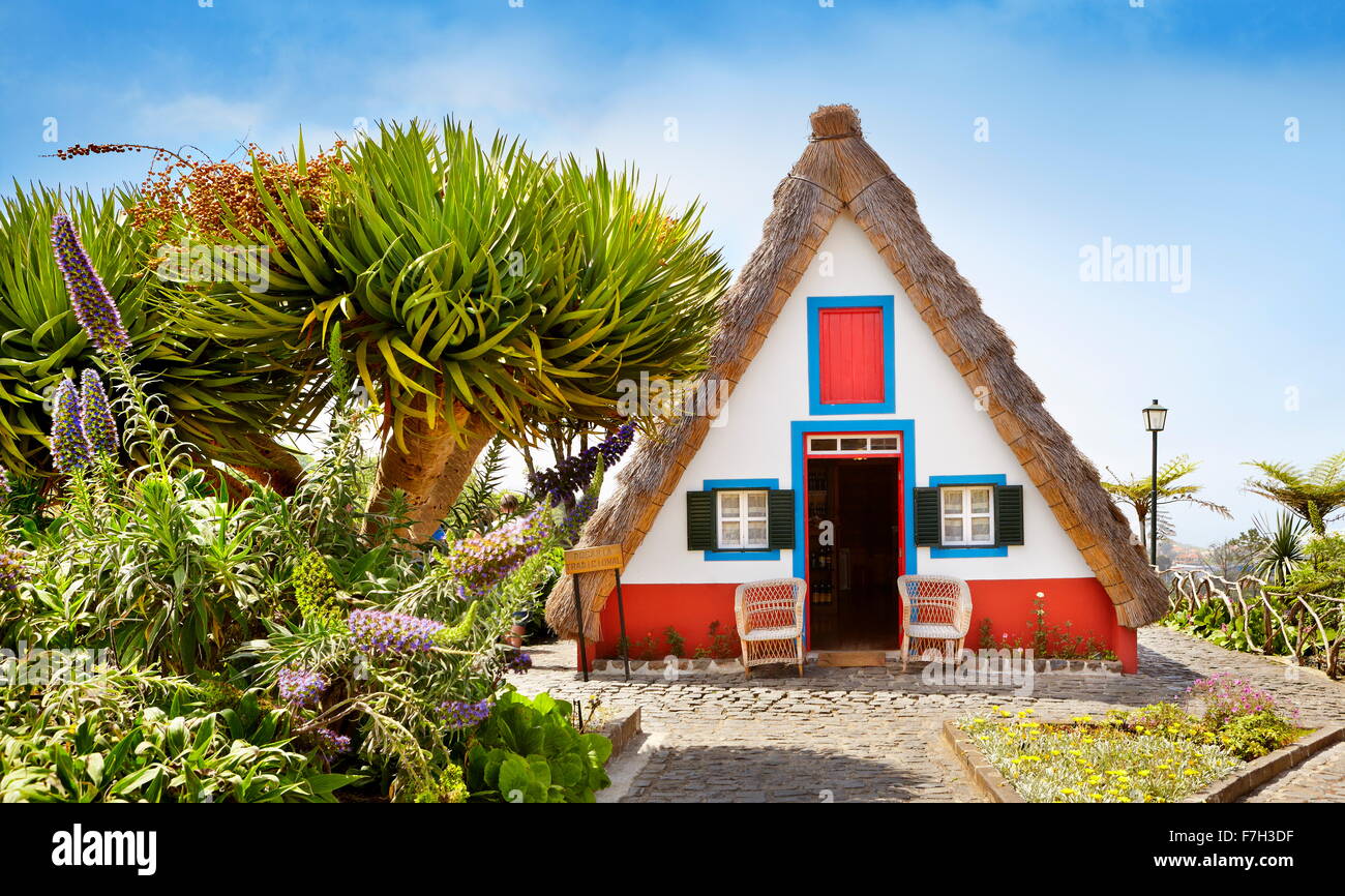 Accueil traditionnel palheiros - Santana, l'île de Madère, Portugal Banque D'Images