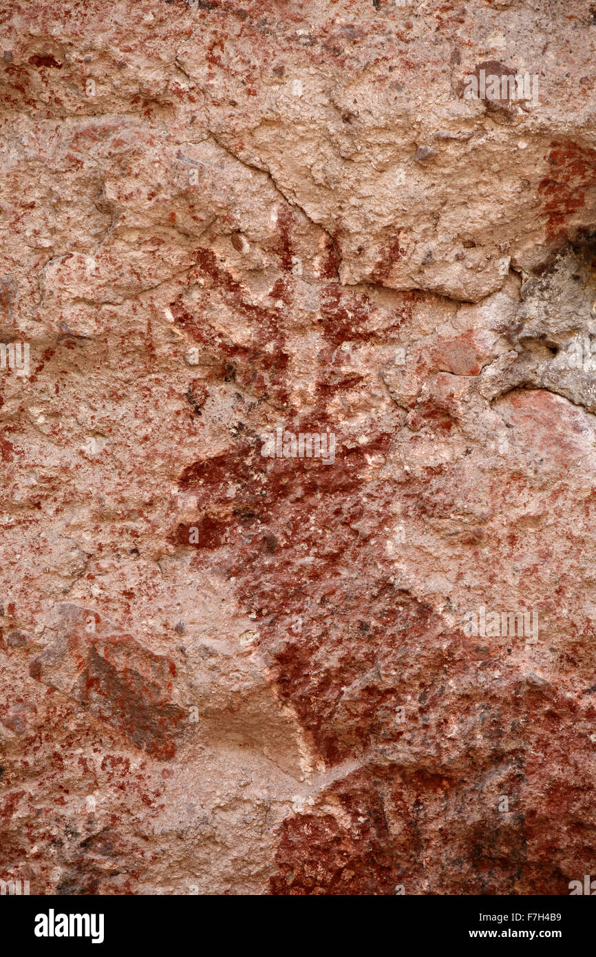 Pr5414-D. Pétroglyphes et peintures rupestres de Santa Marta, qui montrent des personnes, d'animaux (chevreuils, lapins, poissons, etc.). Baja, au Mexique. Banque D'Images