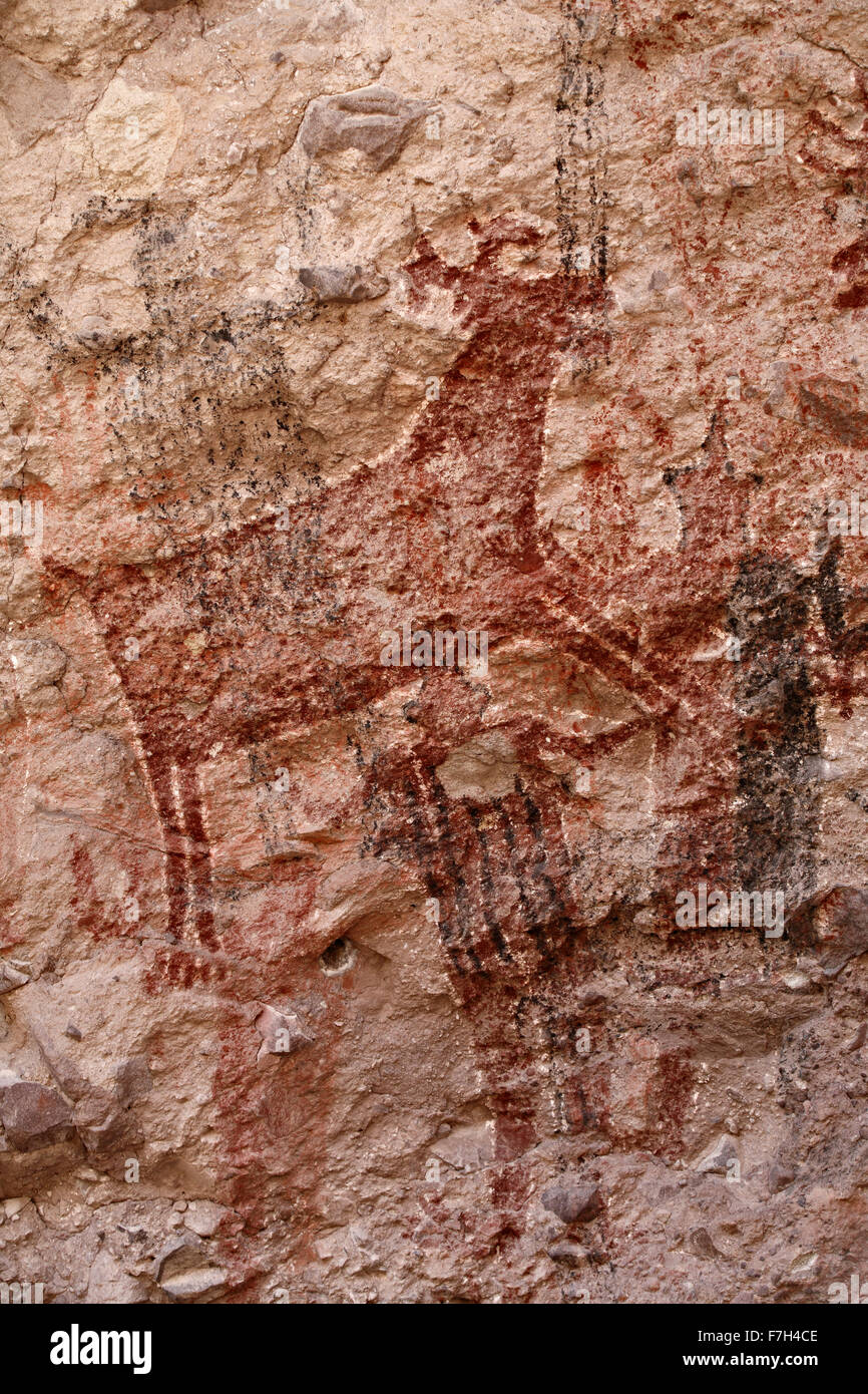 Pr5423-D. Pétroglyphes et peintures rupestres de Santa Marta, qui montrent des personnes, d'animaux (chevreuils, lapins, poissons, etc.). Baja, au Mexique. Banque D'Images