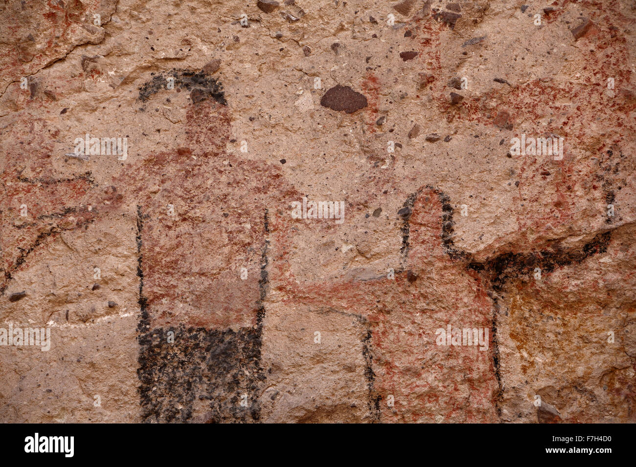 Pr5425-D. Pétroglyphes et peintures rupestres de Santa Marta, qui montrent des personnes, d'animaux (chevreuils, lapins, poissons, etc.). Baja, au Mexique. Banque D'Images
