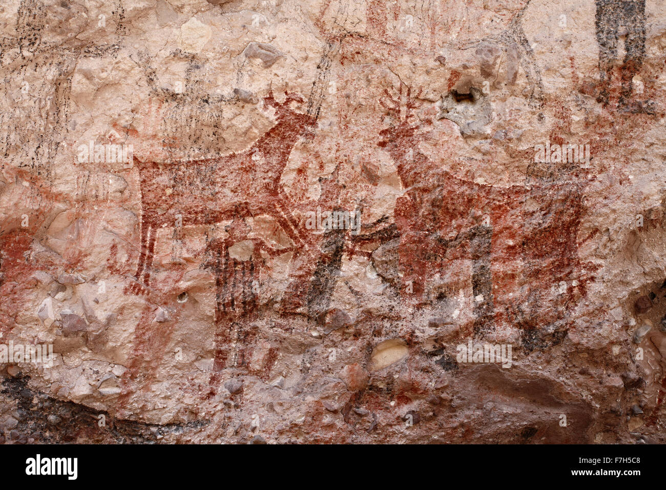 Pr7164-D. Pétroglyphes et peintures rupestres de Santa Marta, qui montrent des personnes, d'animaux (chevreuils, lapins, poissons, etc.). Baja, au Mexique. Banque D'Images