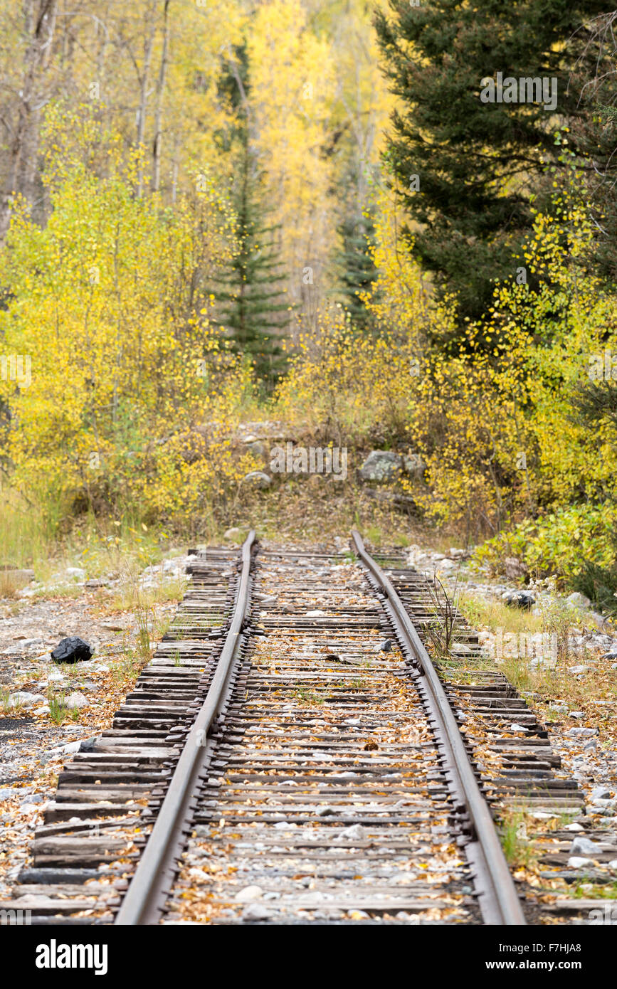 Section de la voie sans issue sur le Durango & Silverton Narrow Gauge Railroad dans l'Animas River Canyon, Colorado. Banque D'Images