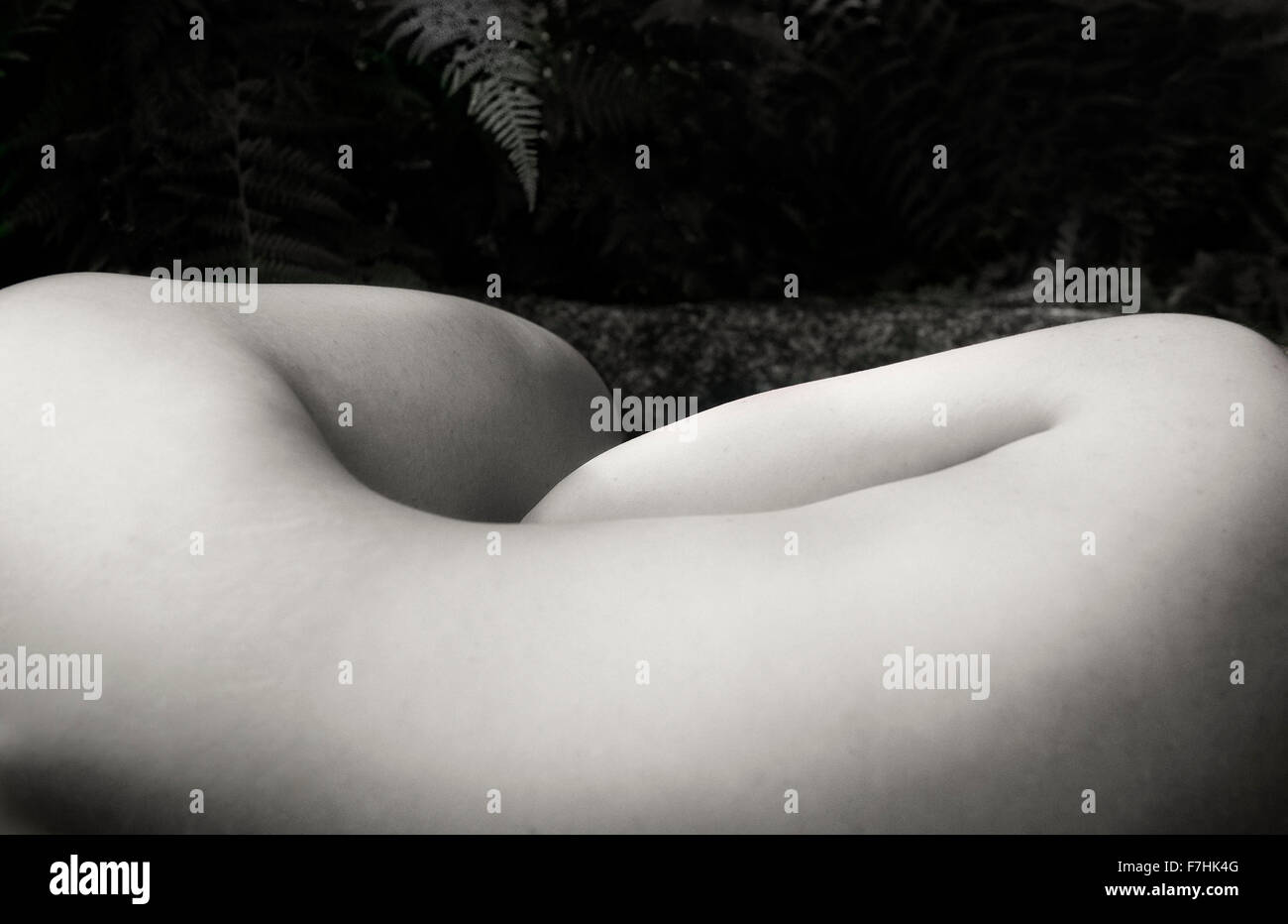 Femme nue couchée avec retour à l'appareil photo Banque D'Images