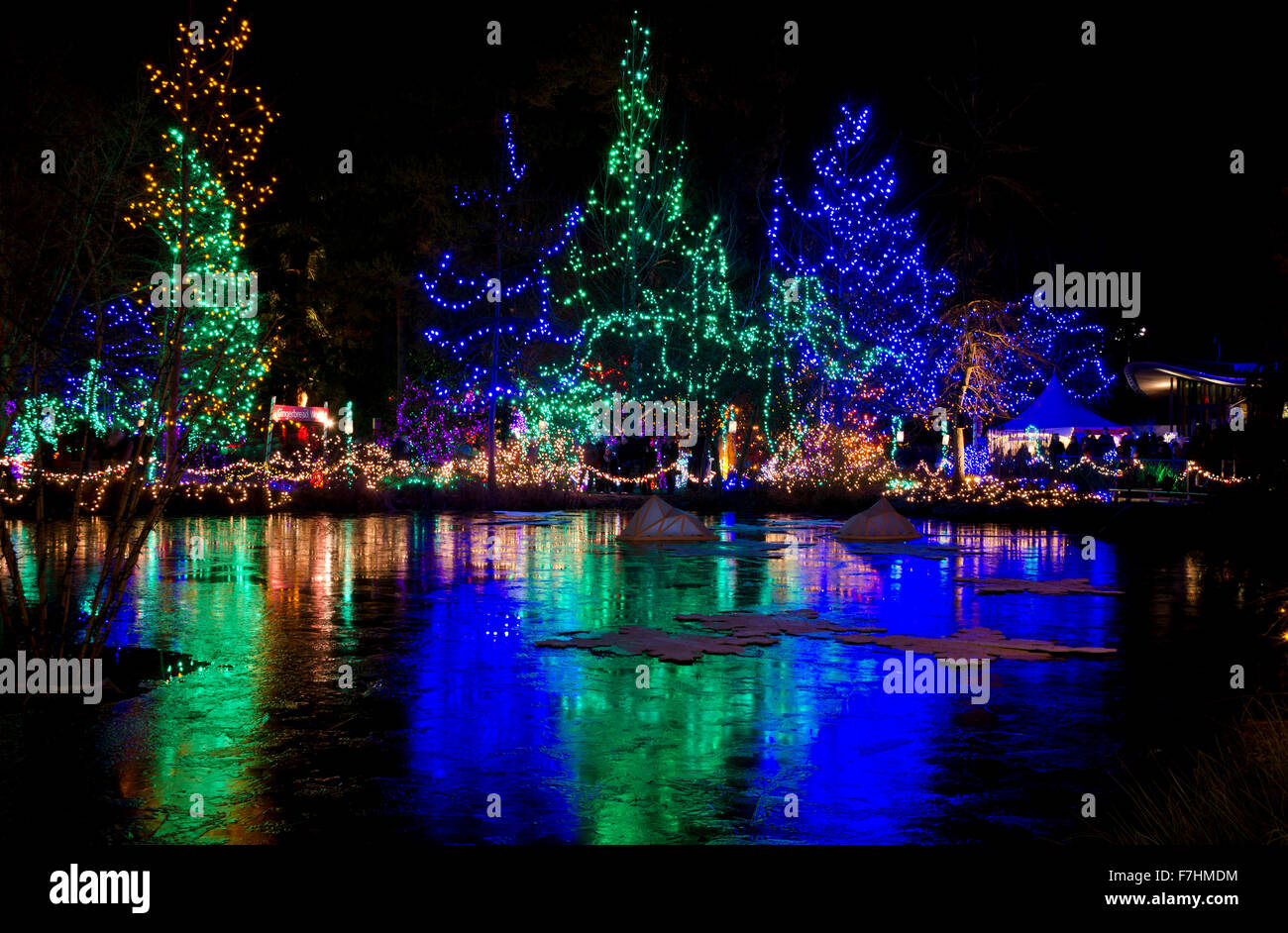 Beau Noël et vacances lumière affichage la nuit à Van Dusen Botanical garden à Vancouver Banque D'Images