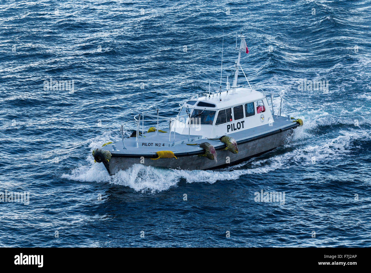 Bateau pilote du Port Everglades, Fort Lauderdale, Floride, États-Unis Banque D'Images