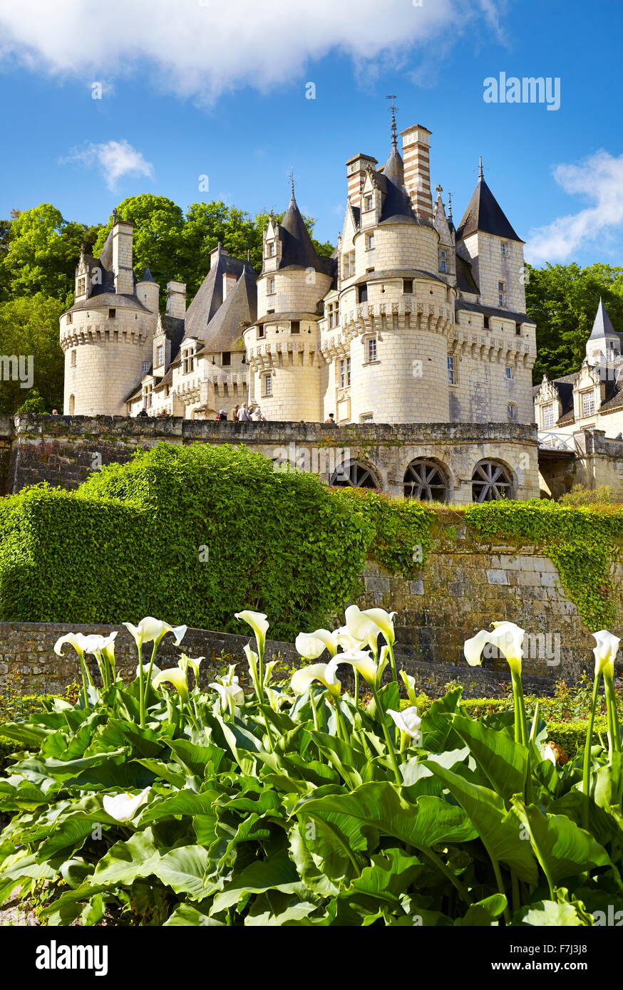 Château d'USSE, Usse, vallée de la Loire, France Banque D'Images