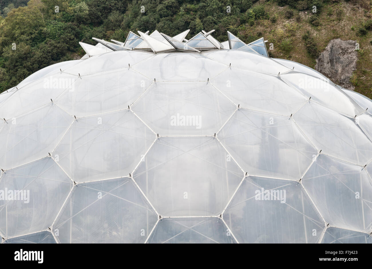 The Eden Project, Cornwall, Royaume-Uni. Détail de l'un des biomes de Nicholas Grimshaw, montrant le cadre hexagonal et le système de ventilation revêtus d'ETFE Banque D'Images