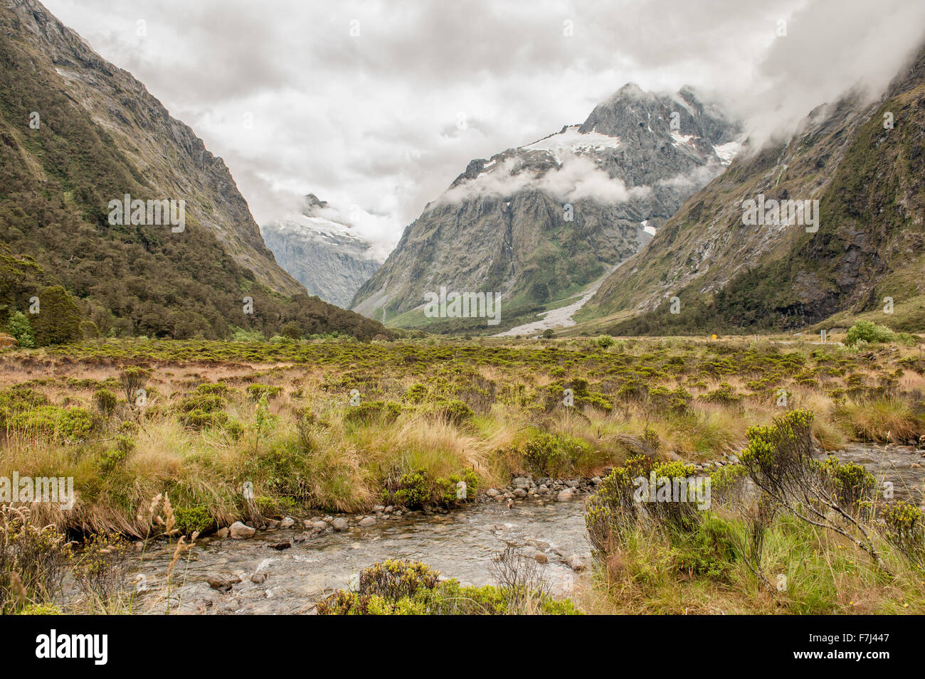 Le Parc National de Fiordland, île du Sud, Nouvelle-Zélande Banque D'Images