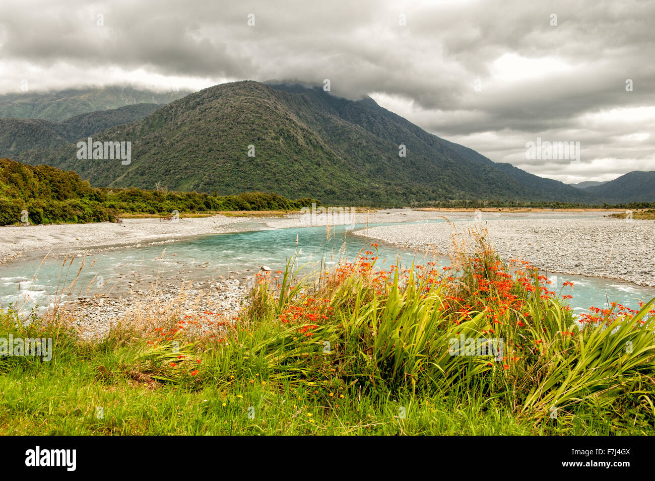 Glacier Country, West Coast, Nouvelle-Zélande Banque D'Images