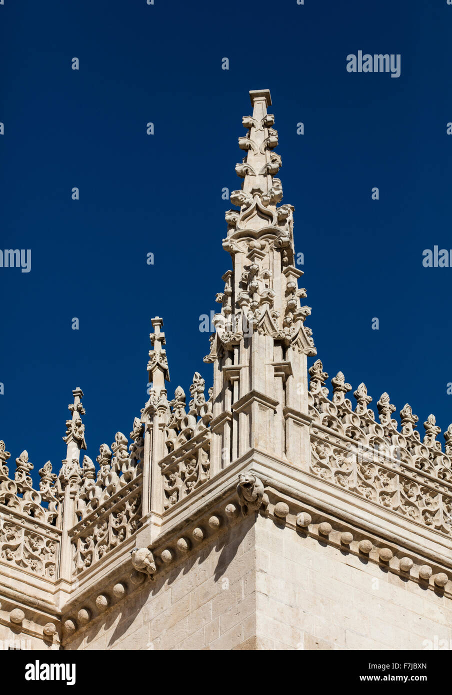 Gargouille sur le mur de la Cathédrale de Grenade avec le coin d'un mur et très fleuri avec spire toit un ciel bleu Banque D'Images