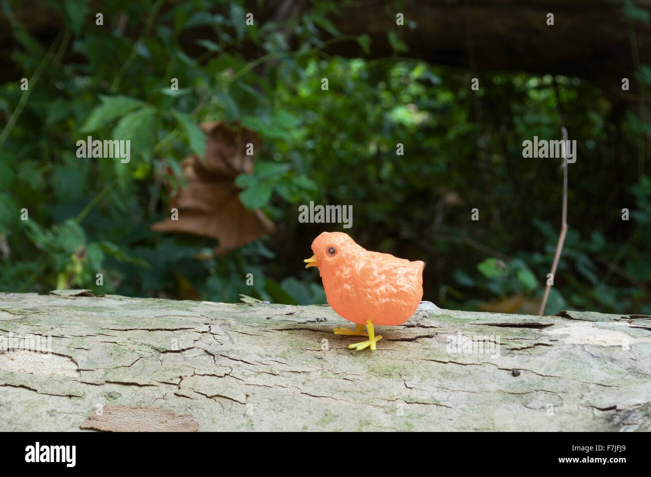 Oiseau en plastique dans la forêt Banque D'Images