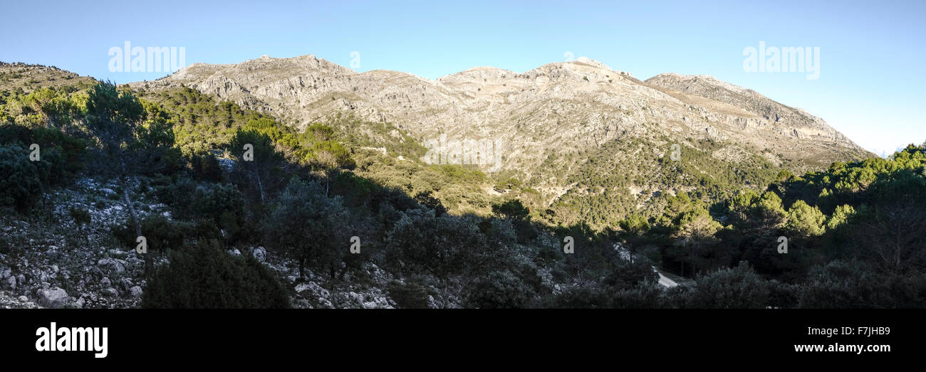 La Sierra de las Nieves, le parc naturel, de montagnes karstiques, Malaga, Andalousie, espagne. Banque D'Images