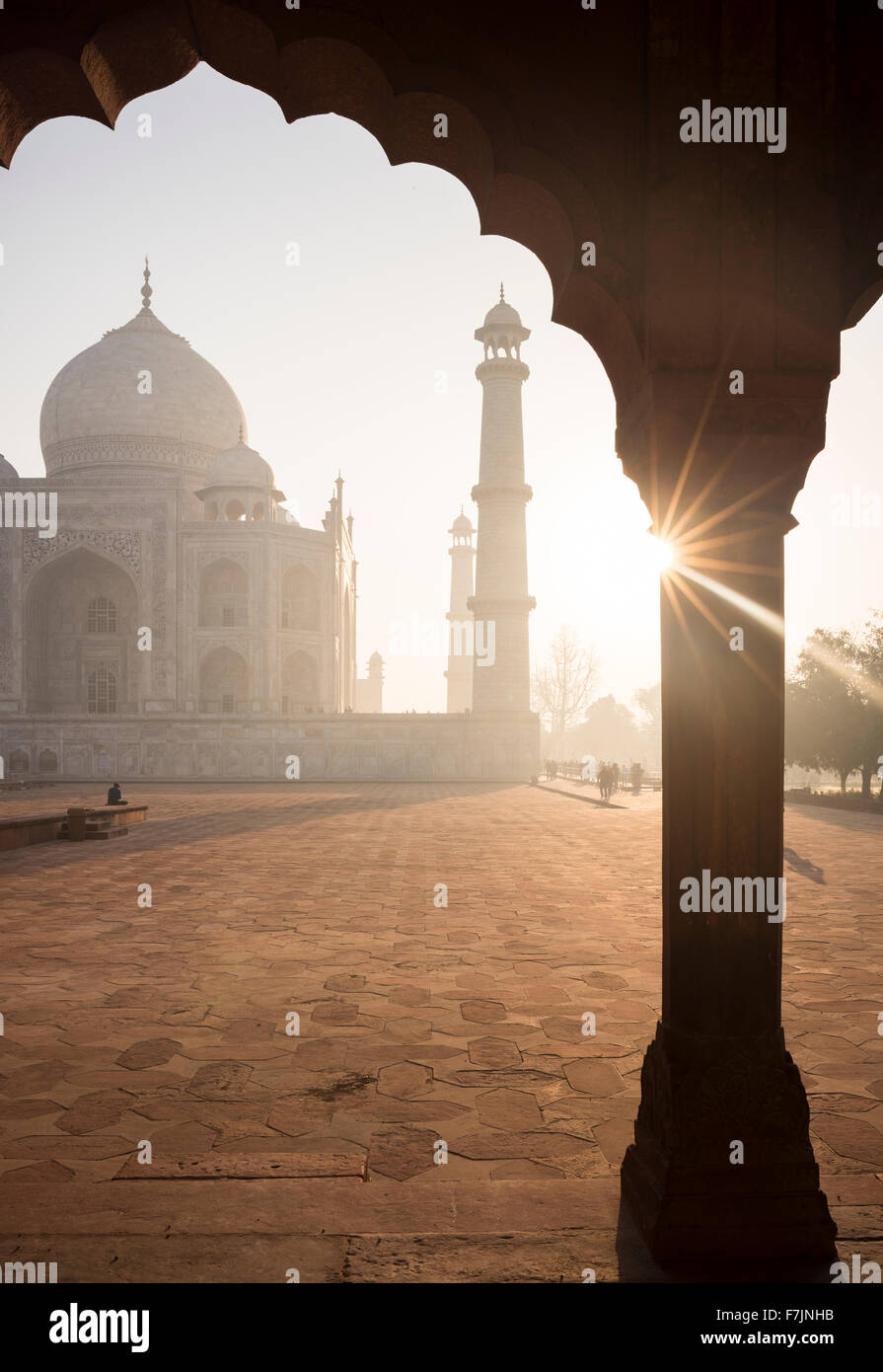 L'aube au Taj Mahal, Agra, Uttar Pradesh, Inde Banque D'Images