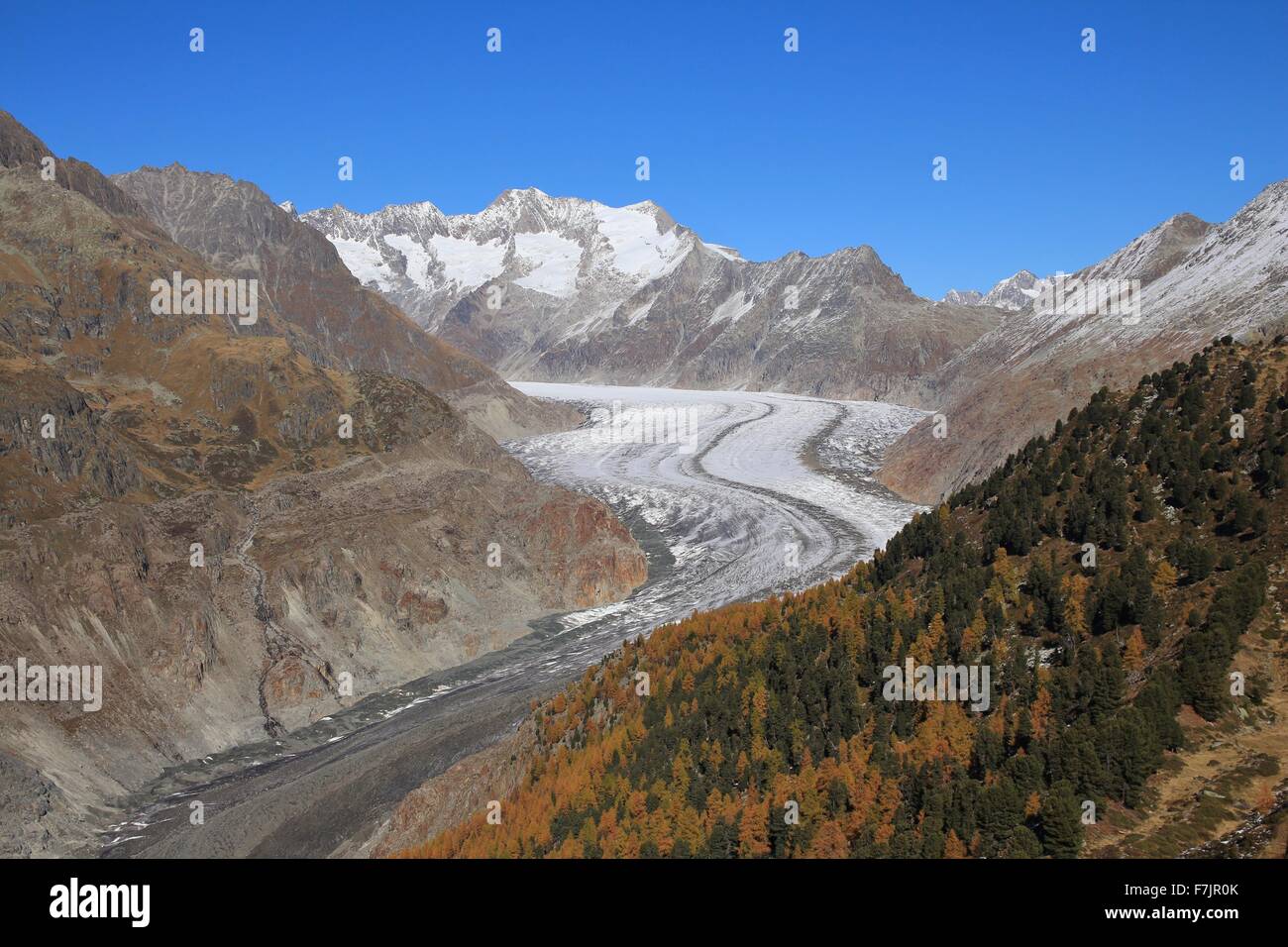 Journée d'automne d'or à l'Aletsch Glacier Banque D'Images